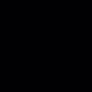 Meet your Posher, Ariel